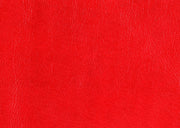 Citroen C Elysee 2012-2020 Kaput Maskesi